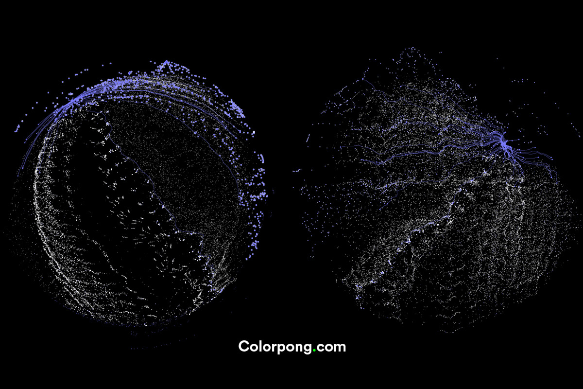 Cosmos II, an Illustration by Colorpong (Photo 5 of 10)