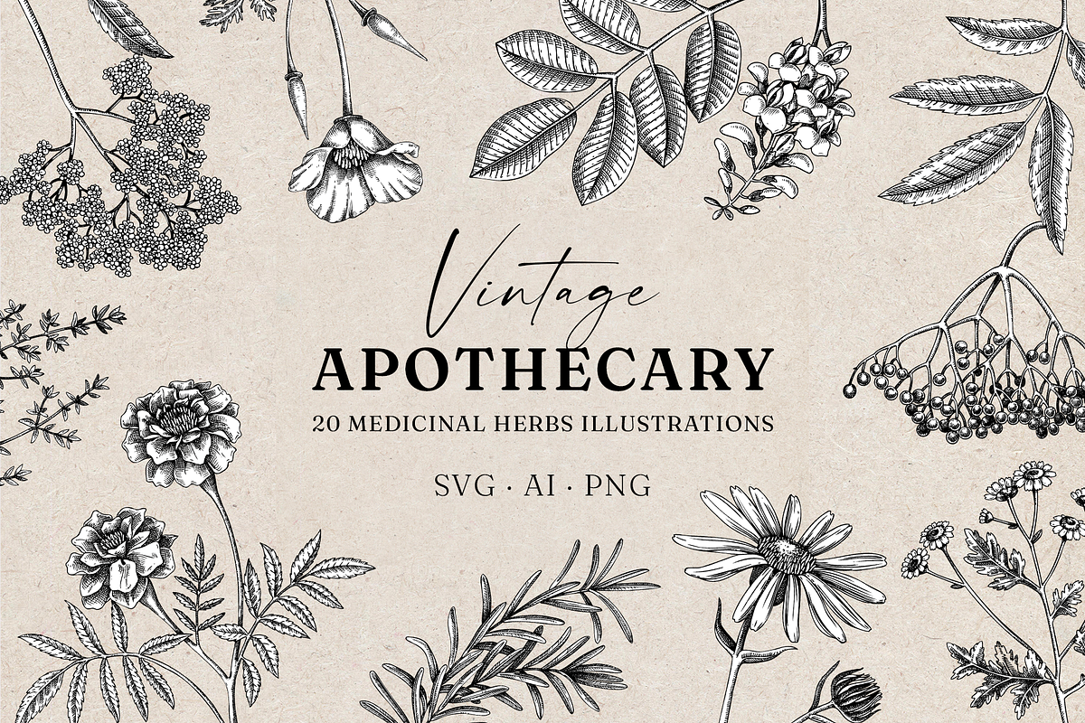 Apothecary Plants & Herbs Vector Set, a Healthcare Illustration by Yevheniia (Photo 1 of 11)