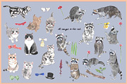 Raccoons & Cats-Watercolor Clipart, an Animal Illustration by VianneArt (Thumbnail 2 of 7)