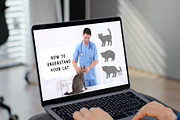 Cat Emotions & Body Language Clipart, an Animal Illustration by Kristina Chistiakova (Thumbnail 4 of 4)