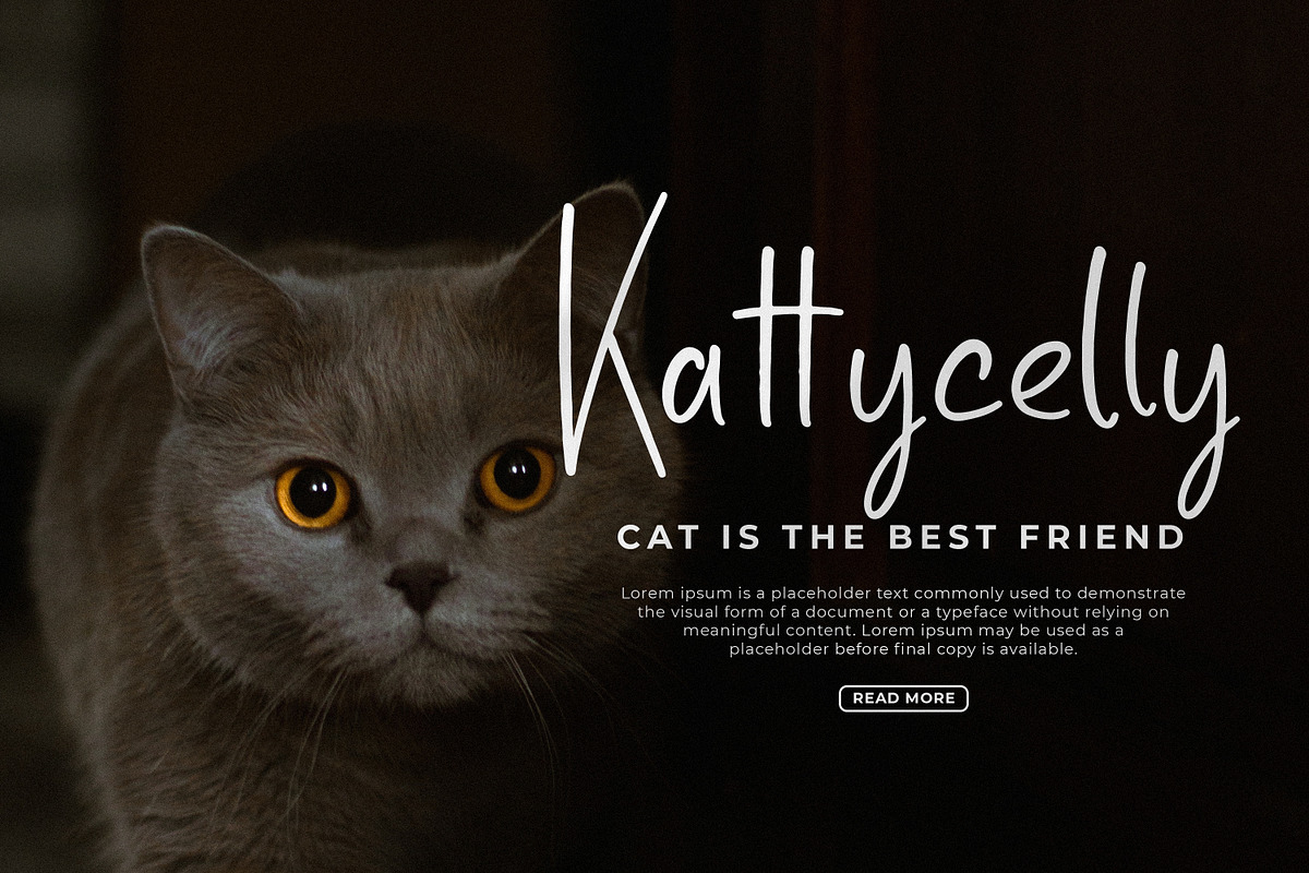 Ballenotty, a Handwritten Font by Integritype Studio (Photo 2 of 15)
