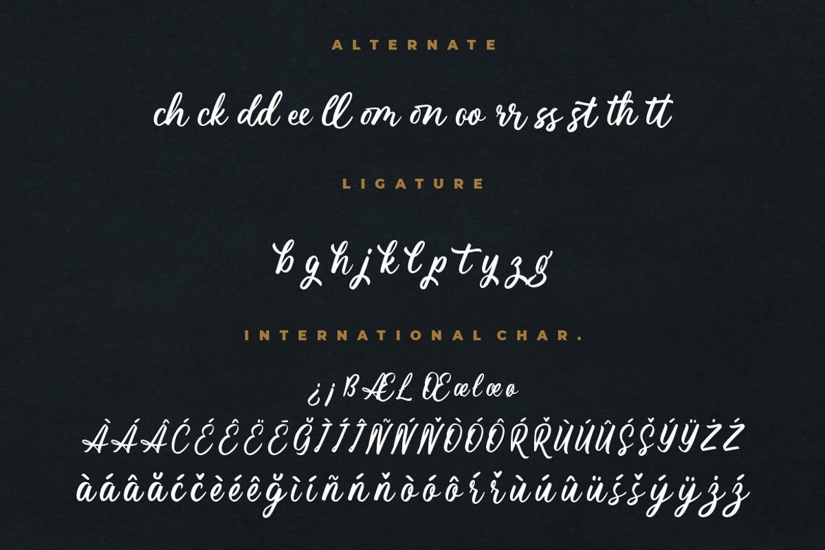 Magnifyco Bold Script, a Script Font by Creatype Studio (Photo 8 of 9)