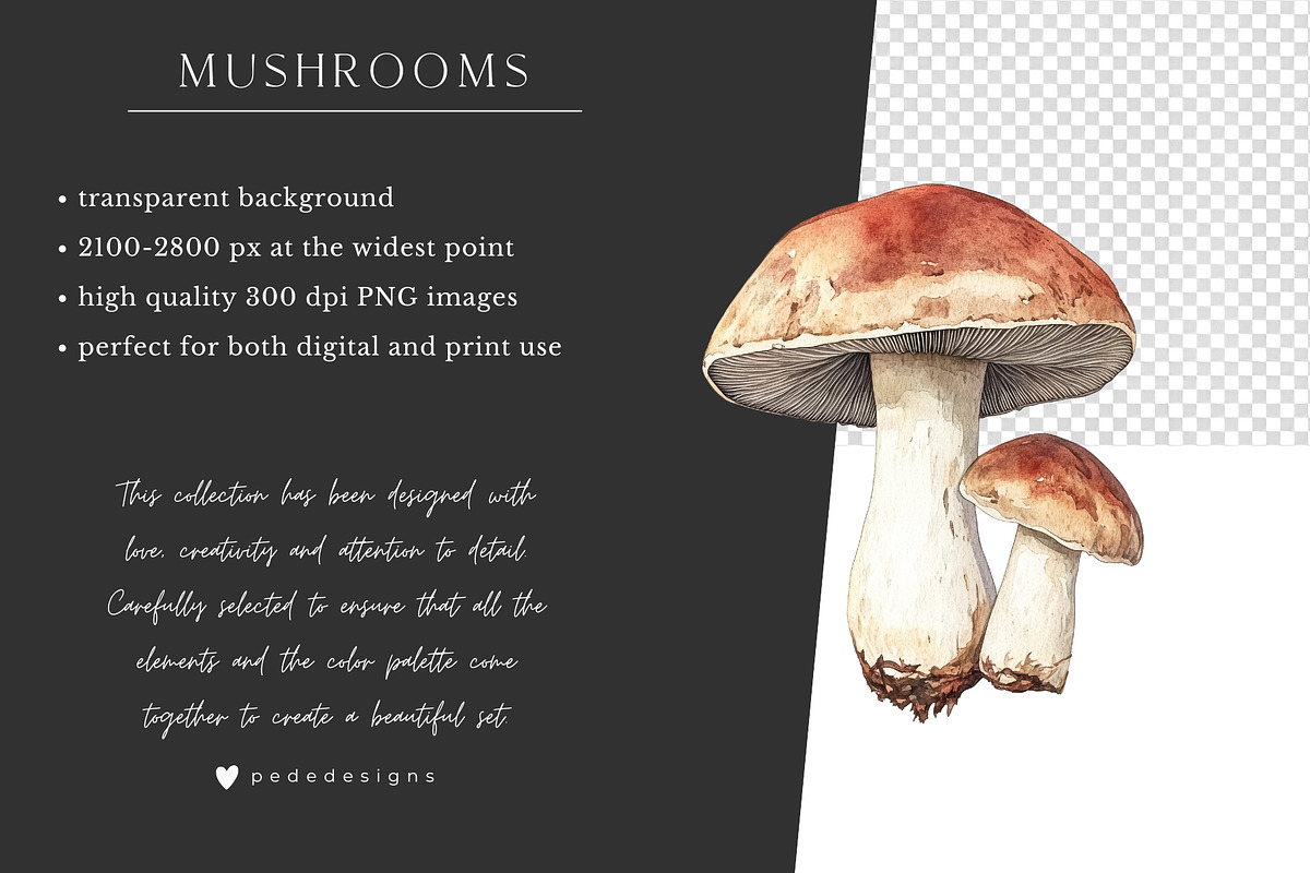 Watercolor Mushrooms, a Food Illustration by PeDe Designs (Photo 6 of 6)