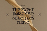 Giamlass - Unique Display Serif, a Serif Font by BrandSemut (Thumbnail 4 of 16)
