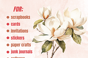 Watercolor Magnolia Flowers Set, a Decorative Illustration by GiraffeCreative (Thumbnail 3 of 8)
