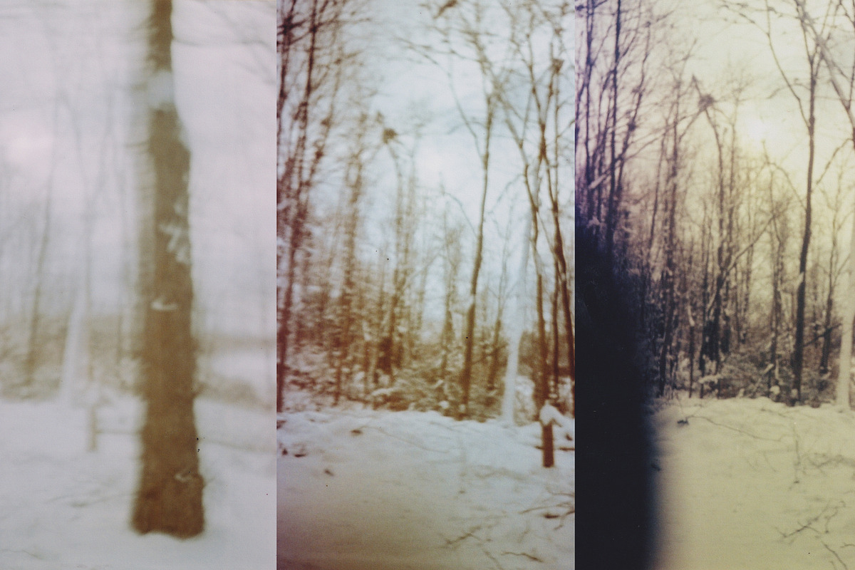 45 Nature Snapshots (Lomo LC-A), a Nature Photo by Studio Rho (Photo 3 of 11)