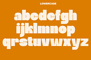 Bleks Display font, a Serif Font by maybefont (Thumbnail 3 of 10)