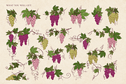Vintage Grape Vector set Wine Labels, a Food Illustration by Neliakott ♥ (Thumbnail 3 of 10)