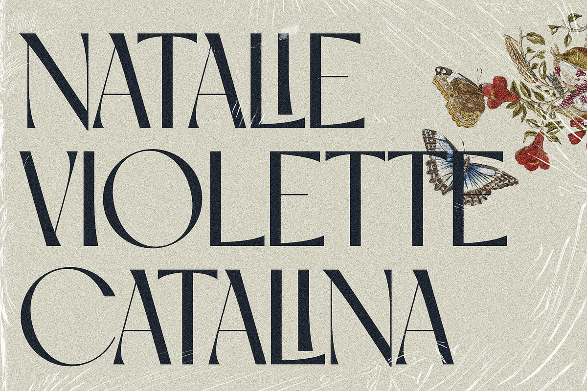 SLTF Night Windfall - Ligature Sans, a Sans Serif Font by SilverStag Type Foundry (Photo 15 of 30)