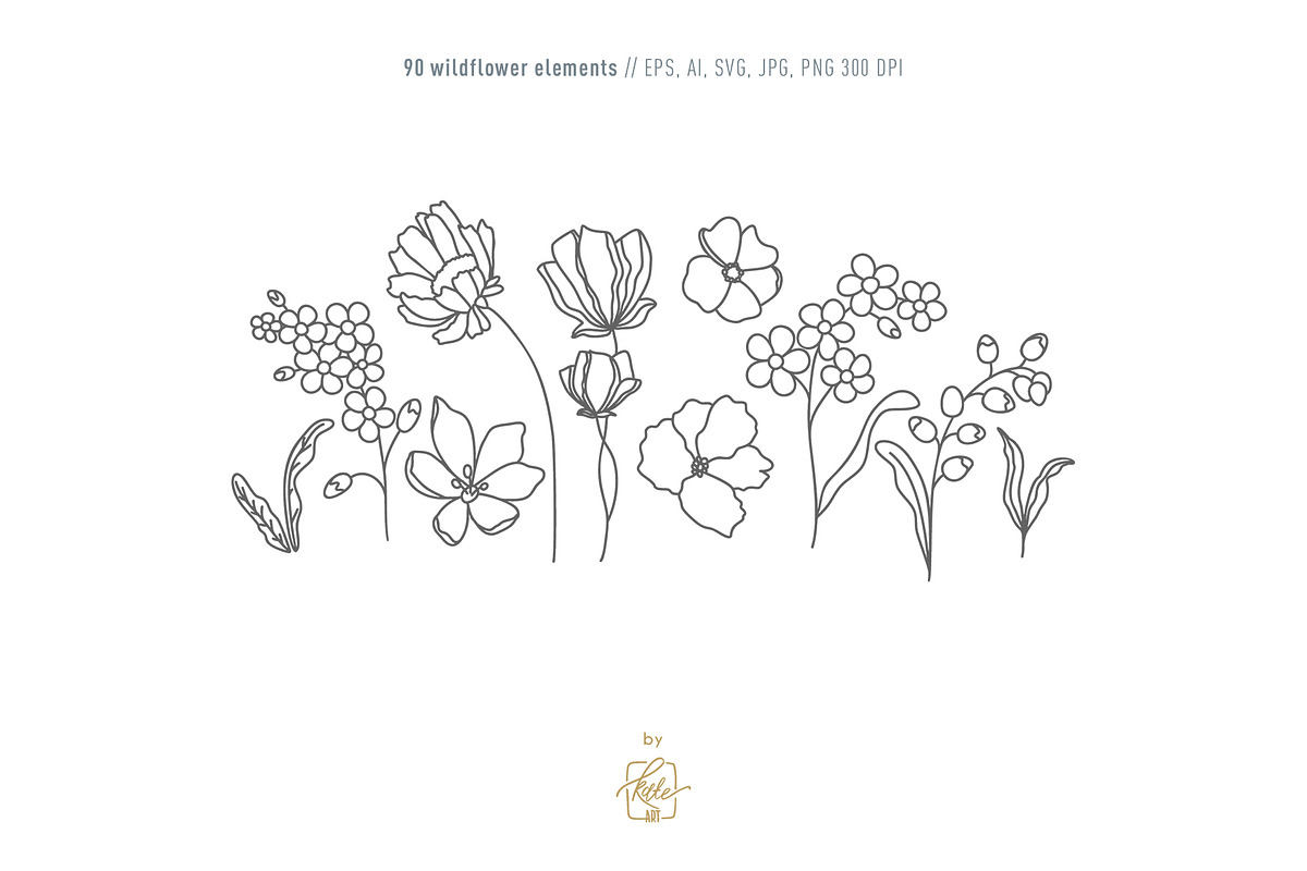 WILDFLOWER LINE ART, an Object Illustration by Kate Art (Photo 8 of 22)