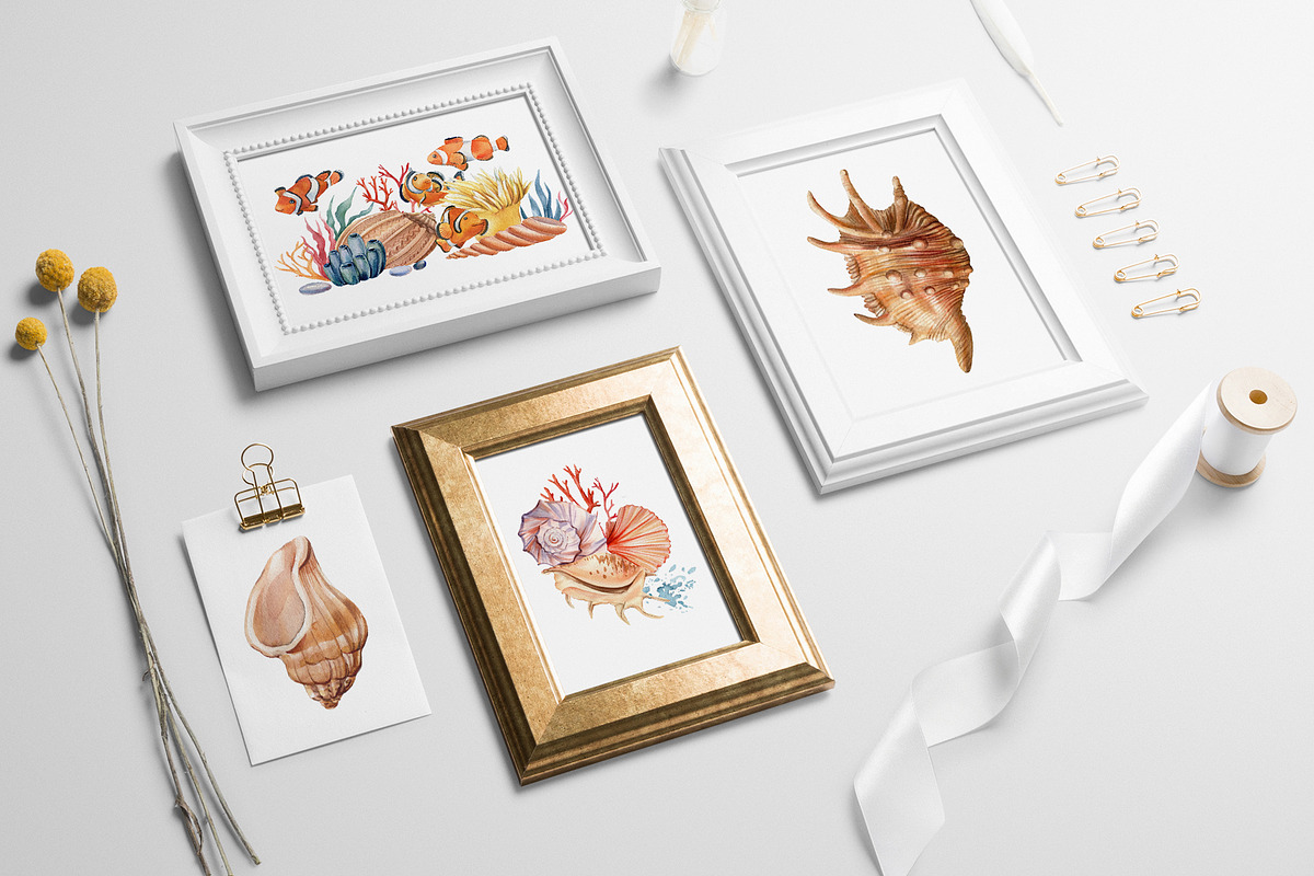 Seashells and fish, watercolor, an Animal Illustration by Hanna Hryharenka (Photo 7 of 20)