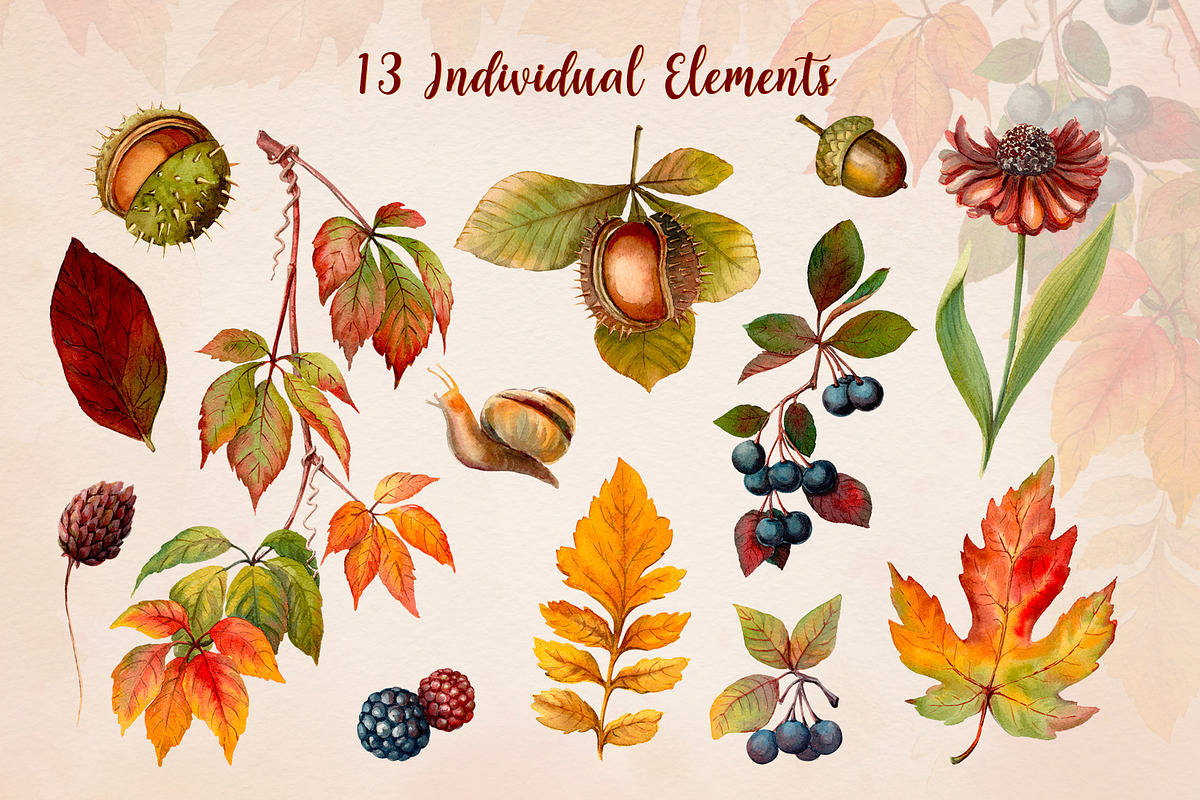 Fall Vibes watercolor floral clipart, an Illustration by Nadya Saen Art (Photo 2 of 15)