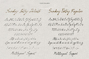 Sunday Poetry - Handwritten Script, a Handwritten Font by AndrewPixelType (Thumbnail 13 of 13)