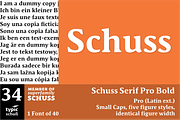 SchussSerifProBold No.34 (1 Font), a Serif Font by typic schuss (Thumbnail 1 of 6)