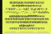 Creative Vision Victorian Display, a Serif Font by timelesstype.co (Thumbnail 10 of 10)