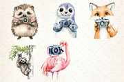Cute Animals Photographer Clipart, an Illustration by Dream Creation (Thumbnail 6 of 6)