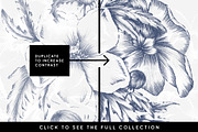 20 Floral Illustrations & More, a Decorative Illustration by AW Studios (Thumbnail 2 of 6)