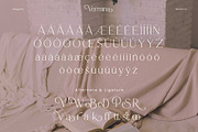 Vermina - Alternate Sans Serif, a Sans Serif Font by Flawless And Co (Thumbnail 4 of 10)