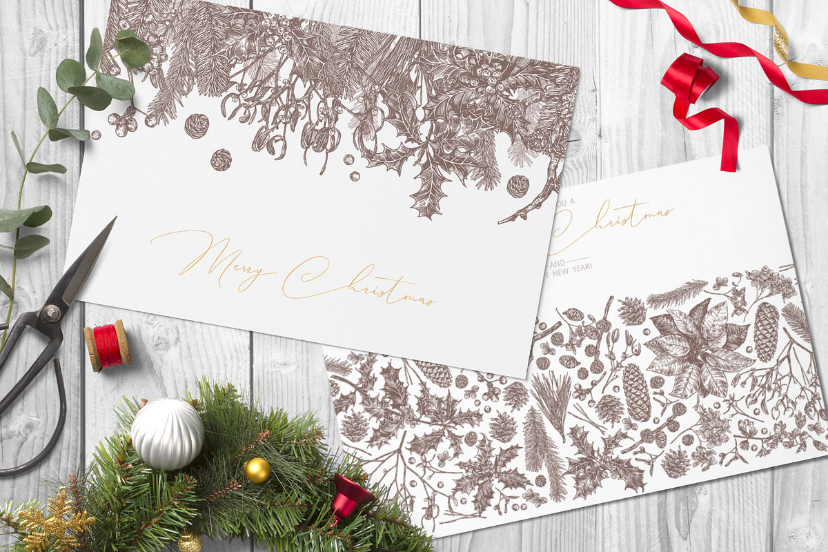 Christmas Botany, a Decorative Illustration by alexrockheart (Photo 2 of 7)