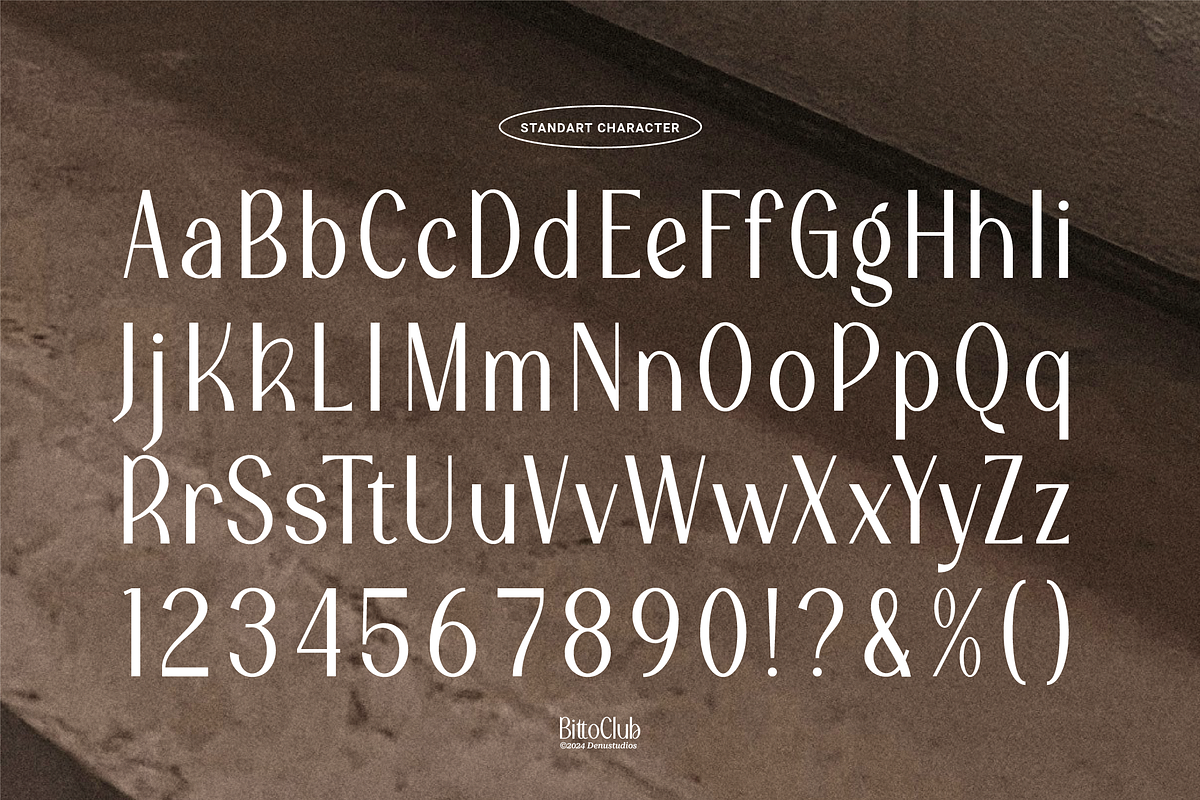 Bitto Club | Modern Sans Serif, a Slab Serif Font by Denustudios (Photo 11 of 14)