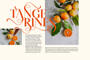 Arienne - Serif Typeface, a Serif Font by Genilson Santos (Thumbnail 7 of 14)