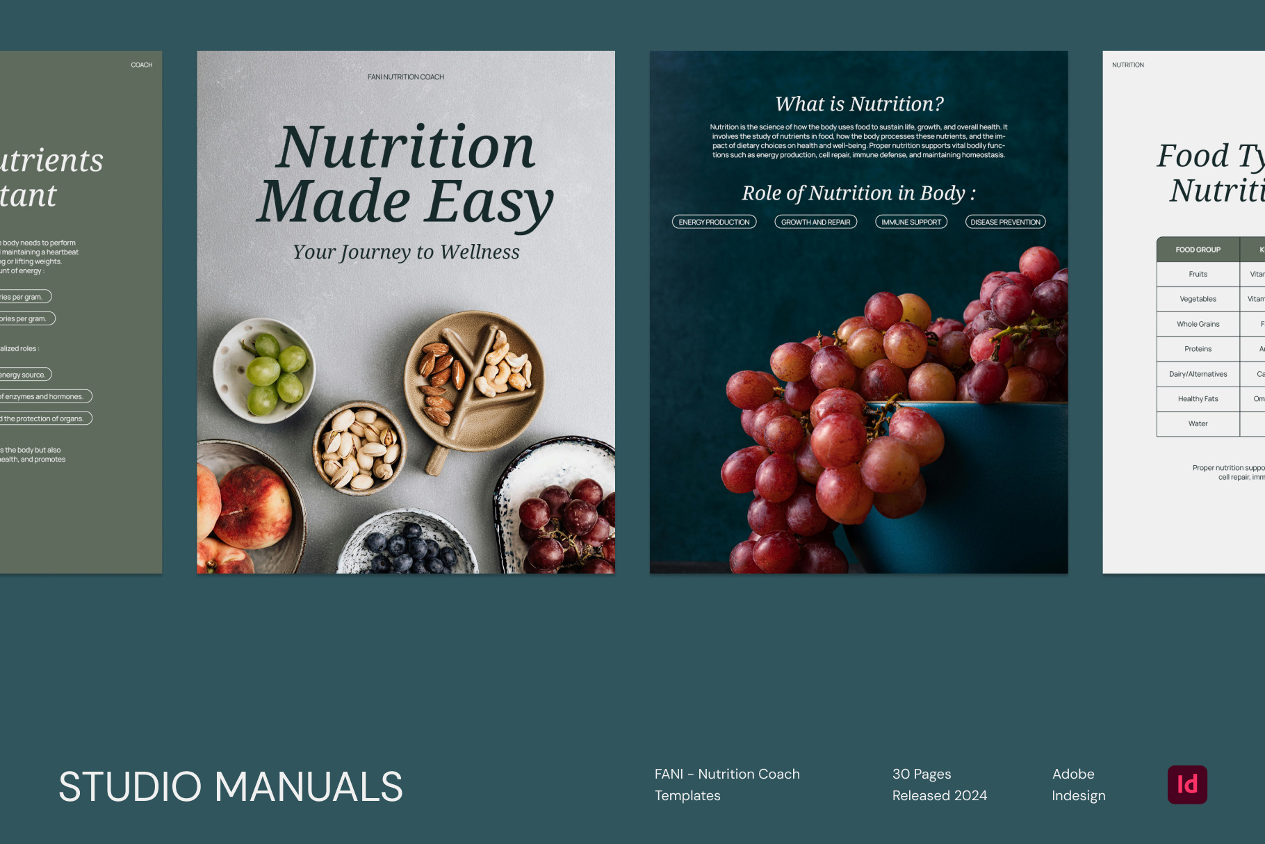 Fani  Nutrition Coach by Studio Manuals  Creative Market