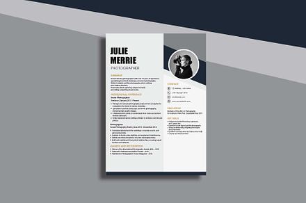 Resume Template Accountant4