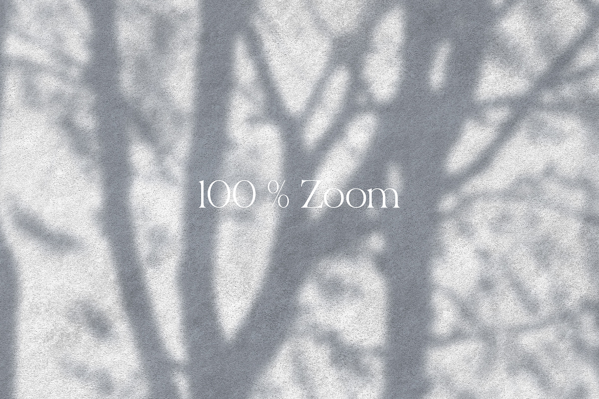 Shadows – wall mural collection, a Wallpaper Graphic by Timofi Art (Photo 15 of 17)