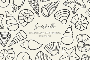 Hand Drawn Seashell Illustrations, an Illustration by HonestiesPrintS