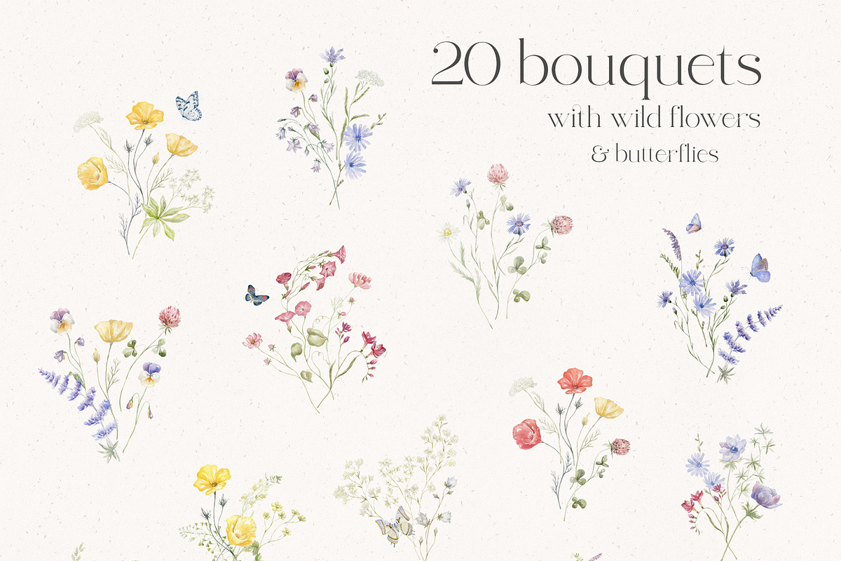 World of Butterflies & Wild Flowers., a Seasonal Illustration by Designwork (Photo 2 of 20)