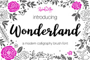 Wonderland, modern calligraphy font, a Script Font by Rachel White Art (Thumbnail 2 of 11)