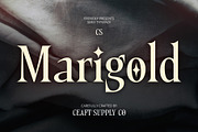 CS Marigold – Classic Font, a Serif Font by Craft Supply Co. (Thumbnail 1 of 8)
