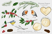 Watercolor Floral All Seasons Bundle, a Seasonal Illustration by Ksenia Shmakova (Thumbnail 29 of 39)