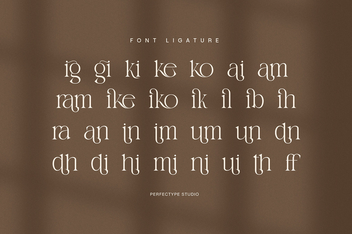 Cramik Elegant Serif Display Font, a Serif Font by Perfectype (Photo 8 of 8)