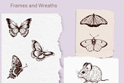 Forest Walk, an Animal Illustration by TatianaCociorva (Thumbnail 3 of 6)