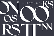 Forgest – Bold Serif Typeface, a Serif Font by overlaytemplates (Thumbnail 5 of 6)