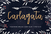 Carlagata, a Script Font by BlueRobinDesignShop (Thumbnail 1 of 8)