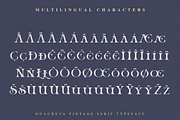 Guacheva, a Serif Font by ilhamtaro (Thumbnail 10 of 10)