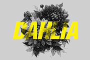 270 Dither Bitmap Vector & PNGs, an Object Graphic by Graphicdome (Thumbnail 34 of 40)