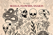 Skulls, Flowers and Snakes | Vintage, a Decorative Illustration by Ink Stories (Thumbnail 3 of 12)