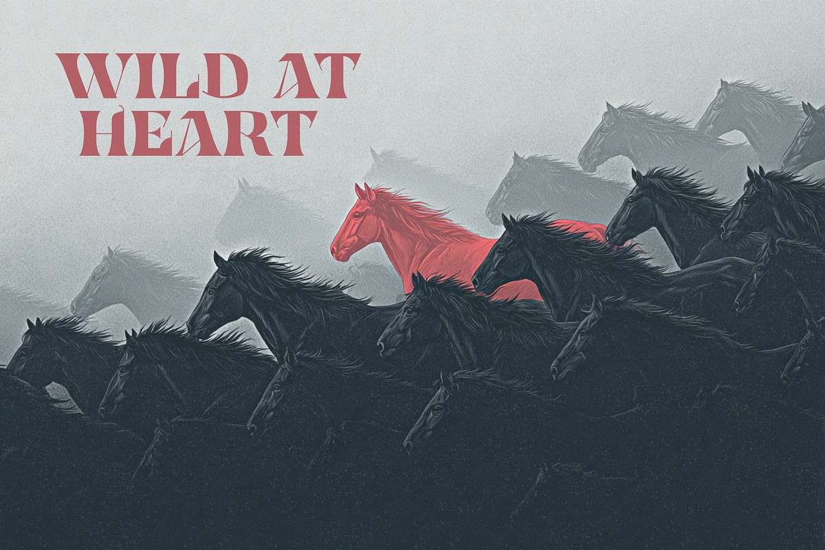 Highborn Gild - Sharp Blackletter, a Serif Font by HipFonts (Photo 7 of 8)