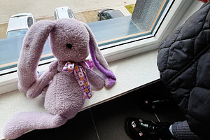 Soft lavender bunny plush toy on windowsill with purple scarf overlooking const, a Photo by AS photostudio