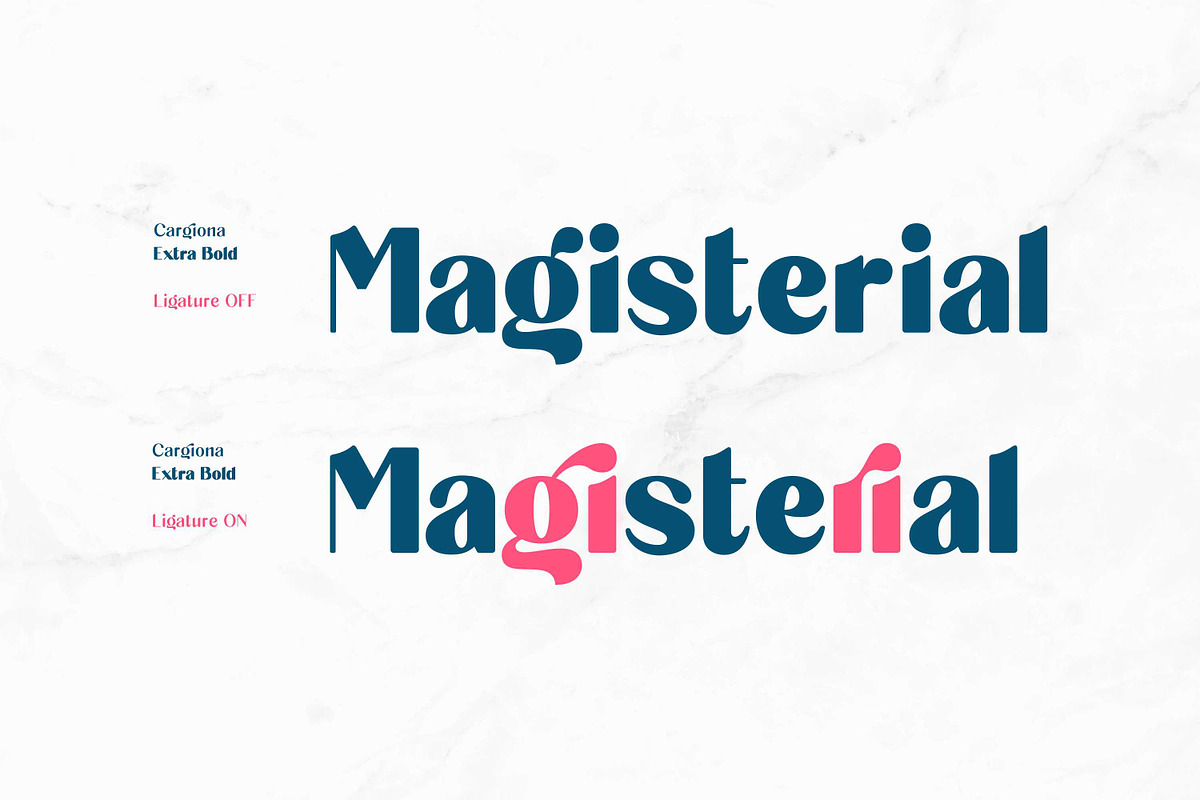Cargiona - Sans Serif Font Family, a Sans Serif Font by Fype Co. (Photo 9 of 9)