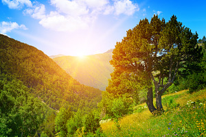 Magnificent dawn in beautiful mountains