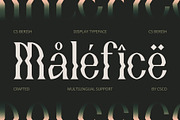 CS Berish – Psychedelic Font, a Serif Font by Craft Supply Co. (Thumbnail 4 of 8)