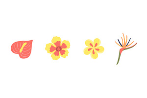 Tropical flower illustration, an Object Illustration by sceptical cactus