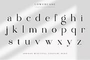 Asbigan, a Serif Font by Sealoung (Thumbnail 11 of 21)