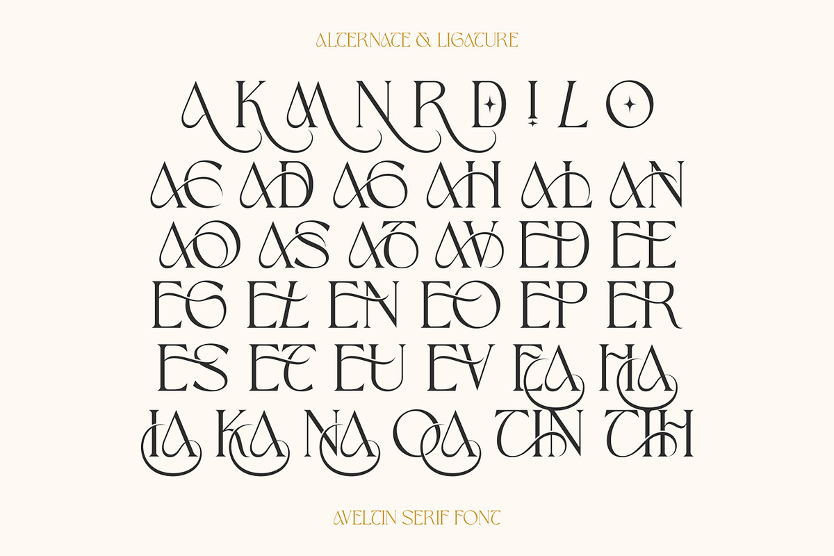 Aveltin Elegant Stylish Serif Font, a Serif Font by Heinzel Std (Photo 11 of 16)
