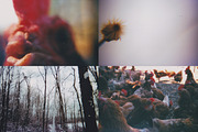 45 Nature Snapshots (Lomo LC-A), a Nature Photo by Studio Rho (Thumbnail 10 of 11)