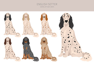 English Setter Clipart